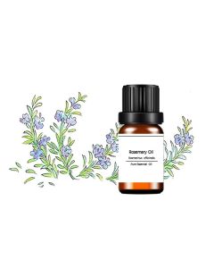 PRIVATE LABEL ORGANIC ROSEMARY MASSAGE ESSENTIAL OIL