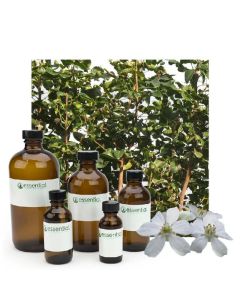 Amyris Essential Oil 7I9LAR